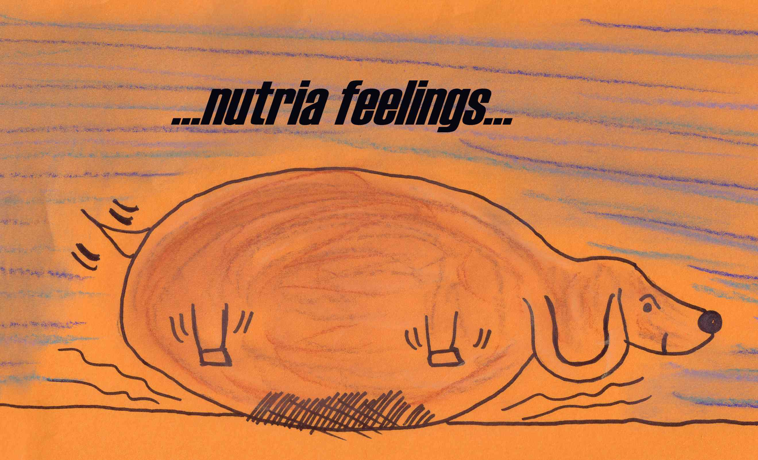 nutria feelings.jpg